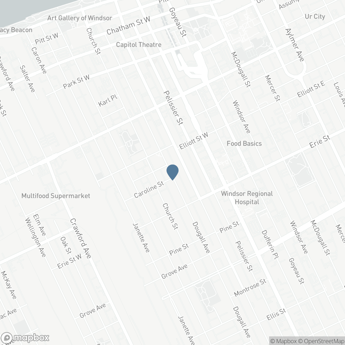 876 DOUGALL AVENUE, Windsor, Ontario N9A 4R1